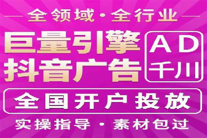 SEO与SEM优化案例：打造行业领先品牌
